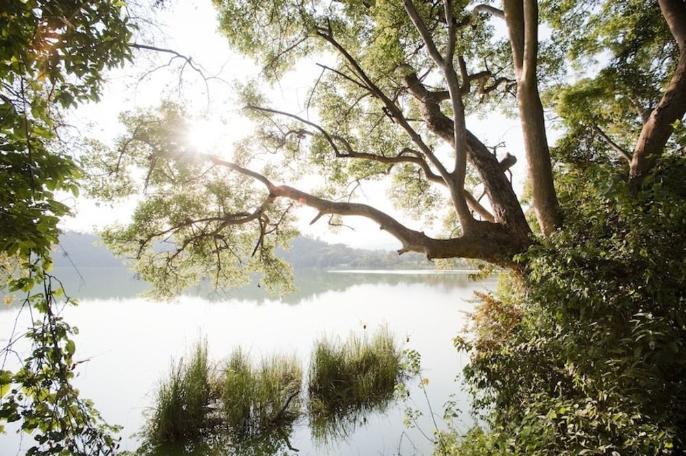 Lake Duluti Lodge Arusza Zewnętrze zdjęcie